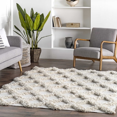 Nuloom Francene Diamond Trellis Shag Area Rug 4ft x 6ft BDFR01A-406